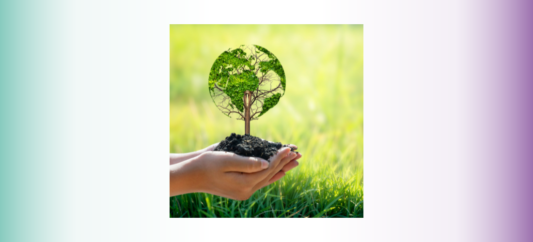 Notre bilan carbone : vers un avenir plus durable